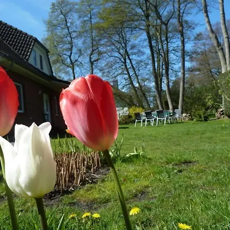 Haus Erle Apartamento Prerow