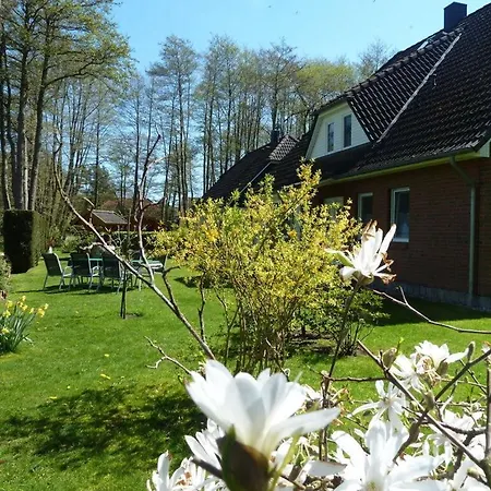 Apartamento Haus Erle Prerow